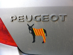 Catalan flag donkey